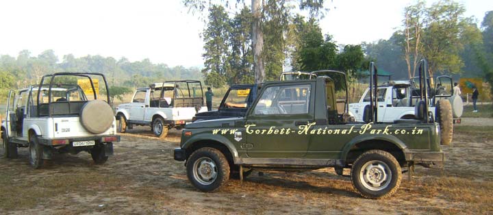 Jeeps ready for  Safari in Corbett National Park 